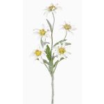 Stella alpina artificiale SOPHIA, bianco, 40cm, Ø5-6cm