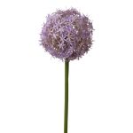 Fiore di allium artificiale SAMARA, lilla, 75cm, Ø12cm