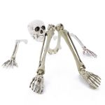 Decorazione di Halloween parti di scheletro ADALBERT con 5 picchetti, 19 cm, 45 cm, 66 cm