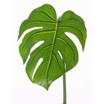 Foglia di filodendro finta LANDER, verde, 55cm