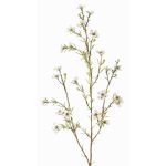Ramo di hoya finto NIANG, crema, 80cm, Ø1,5-2,5cm