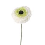 Ranuncolo finto ALIMA, crema-verde, 35cm, Ø8cm