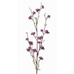 Callicarpa bodinieri finta LARINA, con bacche, viola, 70cm