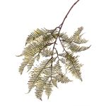 Ramo di felce spada artificiale KENNET, verde, 90cm