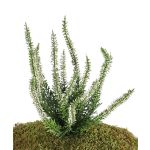 Erica artificiale IMKE su stelo, crema, 25cm, Ø1cm