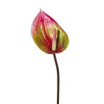 Fiore artificiale fiore di fenicottero GRUNT, verde-rosa, 75 cm