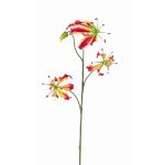 Gloriosa artificiale TIANA, fucsia-verde, 80cm, Ø8-15cm