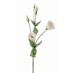 Lisianthus artificiale JUDIKA, bianco-verde, 70cm, Ø5cm