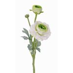 Ranuncolo artificiale YAKIRA, bianco-verde, 40cm, Ø4,5-9cm
