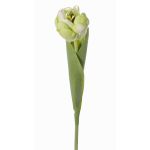 Tulipano artificiale ROMANA, verde chiaro, 45cm, Ø6cm