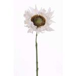 Girasole artificiale JANIKA, bianco, 60cm, Ø13cm