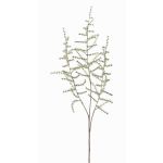 Ramo artificiale di asparago selvatico JOCHEN, verde, 70cm