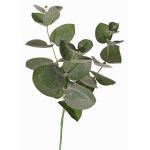 Ramo di eucalipto artificiale JAMAL, verde-grigio, 25cm