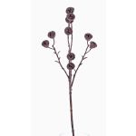 Ramo di eucalipto finto BASILIUS con frutti, marrone, 60cm