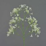 Saxifrage artificiale BOUZA con fiori, crema, 65cm