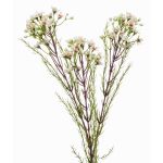 Fiore di cera artificiale MEDEA, crema, 80cm