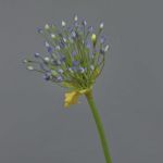 Allium artificiale KATYNA, blu, 70cm