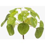 Pianta delle monete artificiale SYBIL su stelo, verde, 13cm