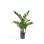 Pianta artificiale zamioculcas SIMANO, 70cm