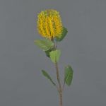 Fiore artificiale banksia CONAKIR, giallo, 55cm