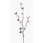 Ramo di cotone artificiale CASAS con fiori, verde, 85cm