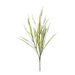 Pennisetum artificiale ORFEO, pannocchie, su stelo, crema, 70cm