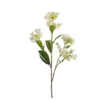 Ortensia artificiale ALAZNE, crema, 75cm