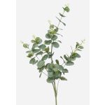 Ramo artificiale d'eucalipto DEREK, verde-grigio, 75cm