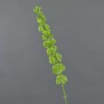 Molucella artificiale SIERA, verde, 80cm