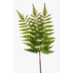 Ramo di felce spada in plastica HALIMA, verde, 60cm