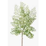 Ramo di felce di capelvenere in plastica HALIMA, verde, 60cm