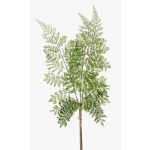 Ramo di felce polystichum in plastica HALIMA, verde, 60cm