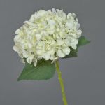 Ortensia artificiale EGIA, crema, 50cm