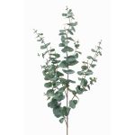 Ramo d'eucalipto in plastica CALLIOPE, verde-grigio, 115cm