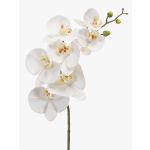 Ramo di orchidee phalaenopsis artificiale NEITH, bianco, 75cm, Ø7-10,5cm