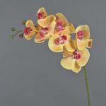 Ramo di orchidee phalaenopsis artificiale NEITH, fucsia-arancione, 85cm