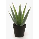Aloe variegata artificiale MARTINEZ, verde, 25 cm, Ø17 cm