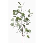Ramo d'eucalipto artificiale COLTON, verde-grigio, 85cm