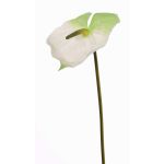 Anturio artificiale MOIRA, bianco-verde, 75cm, 13x18cm