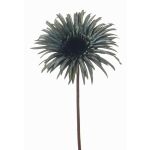 Gerbera artificiale SIEDA, blu-verde, 65cm, Ø12cm