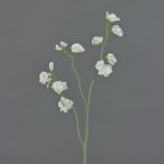 Lathyrus artificiale ASFALOTH, bianco, 65cm