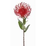 Protea artificiale BAILY, rosso, 50cm, Ø12cm