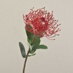 Protea artificiale BAILY, rosso, 50cm, Ø12cm