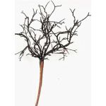 Corallo artificiale SPUNKY su stelo, con brillantini, nero, 20cm