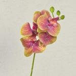Ramo artificiale di orchidea phalaenopsis OPHELIA, fucsia-verde, 40cm, Ø7-8cm
