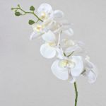 Ramo artificiale di orchidea phalaenopsis OPHELIA, bianco, 80cm