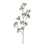 Ramo decorativo di cedro SNALTI con pigne, congelato, bianco-verde, 65 cm