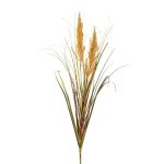 Erba decorativa Pampas WAHAN con pannocchie, bastoncino, marrone, 105cm