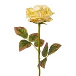 Fiore artificiale rosa DRINT, verde-crema, 60cm, Ø10,5cm
