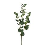 Ramo decorativo eucalipto JINVAL, verde, 80 cm